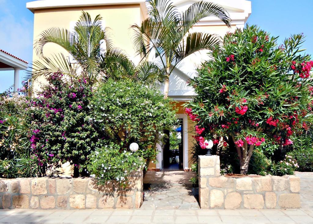 Rododafni Villas Klorakas Zimmer foto