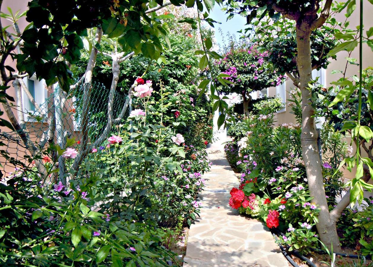 Rododafni Villas Klorakas Exterior foto